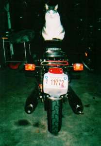 Sidney, the midnight rider