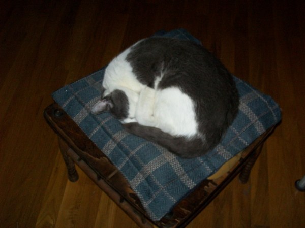 Catnap in Jan2013 flood